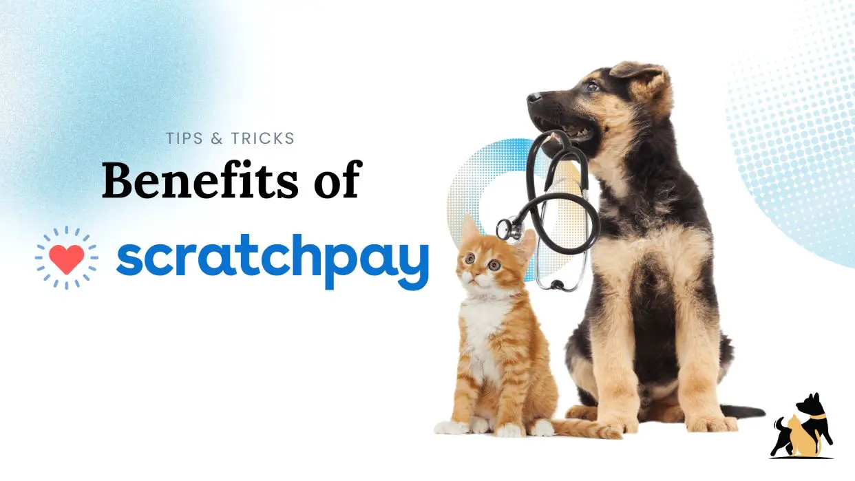 Scratchpay